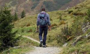 mountaineering, man, trail, path, mountains, male mountaineer, wanderer, backpacking, backpack, hike, away, mountain hiking, hiking, adventure, activity, trekking, traveler, tourist, lifestyle, mountain, nature, landscape, mountain landscape, mountain path, mountaineer, mountain hike, urlaub, erholung, freizeit, entspannung, man, man, man, man, man, hiking, hiking, hiking, mountain