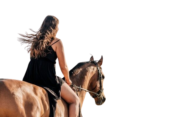 caballo