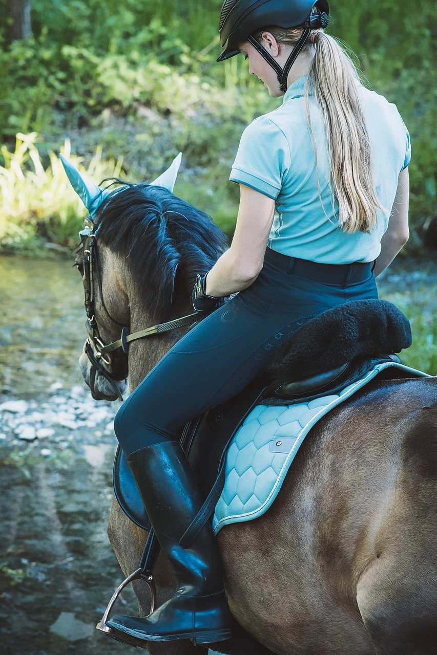 paseos a caballo horsewoman, horse, pony, woman, girl, water, bach, ride, riding, nature, terrain, horseback riding, mare, brown horse, reiter, saddle horse, riding pony, hobby, leisure